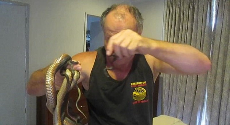 Хозер ежегодно отлавливает 300-400 змей, так что ему не составило труда поймать опасных пресмыкающихся голыми руками 