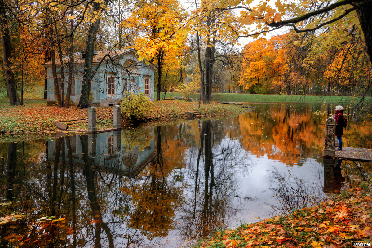 Фото Осеннее Очарование