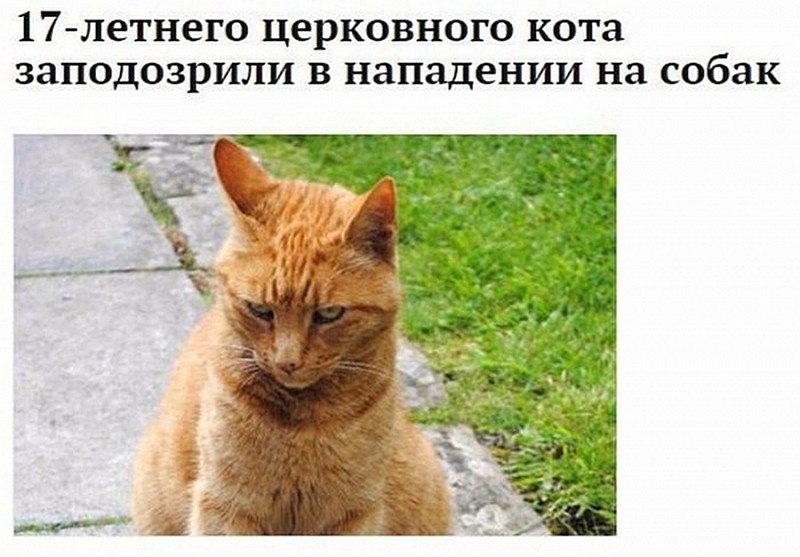 Не грустные картинки