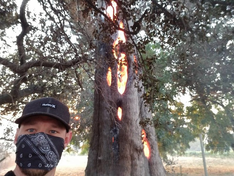 Мужчина нашёл треснувшее дерево, сгорающее изнутри