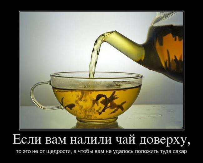 Пей чай и не скучай! О жмотах!