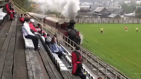 Гифки дня Гифки дня