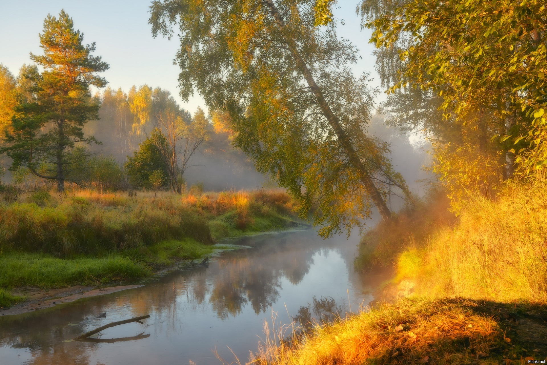 Река Нерская осень