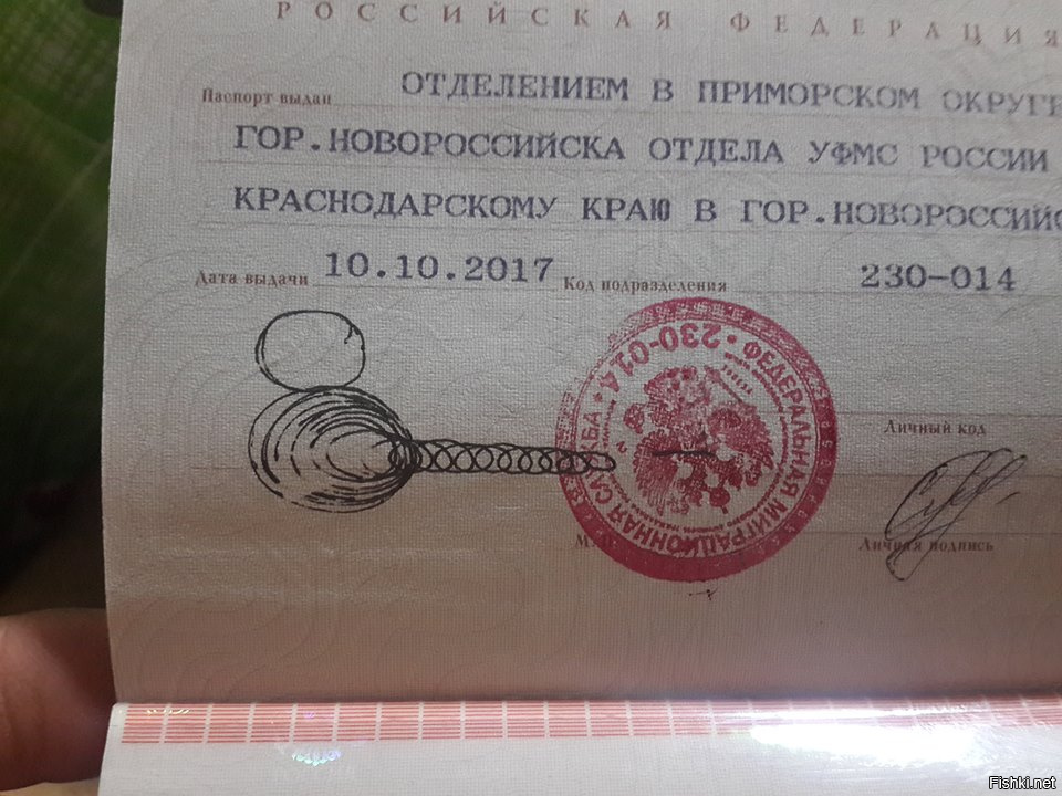 Коды паспортов краснодарского края. Смешные подписи. Подписи начальников паспортных столов.