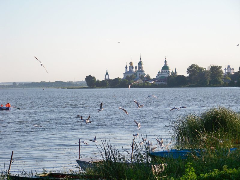 Вид на Спасо-Яковлевский монастырь