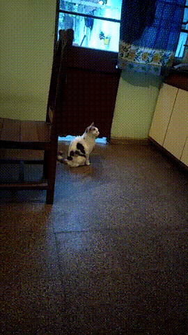 Прикольные гифки