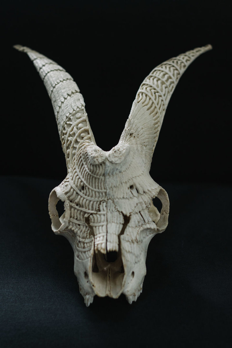 Румынский резчик по кости превращает черепа в произведения искусства