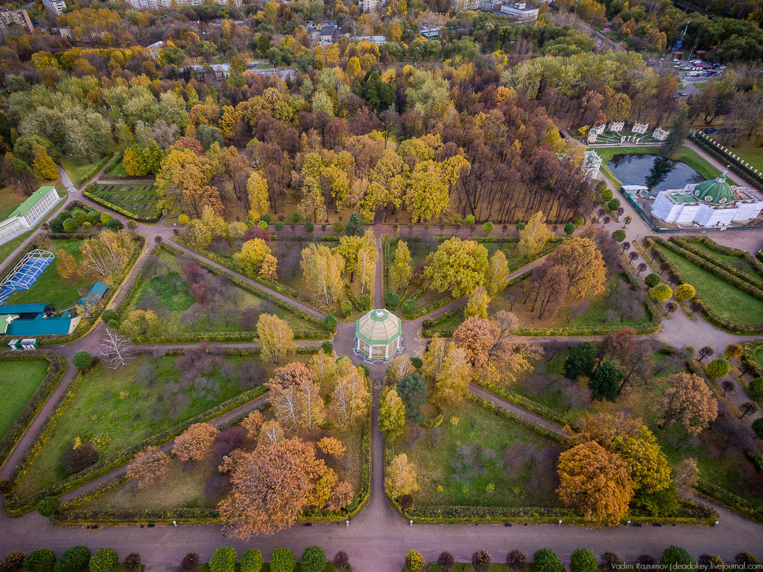 Павловский парк с высоты птичьего полета фото