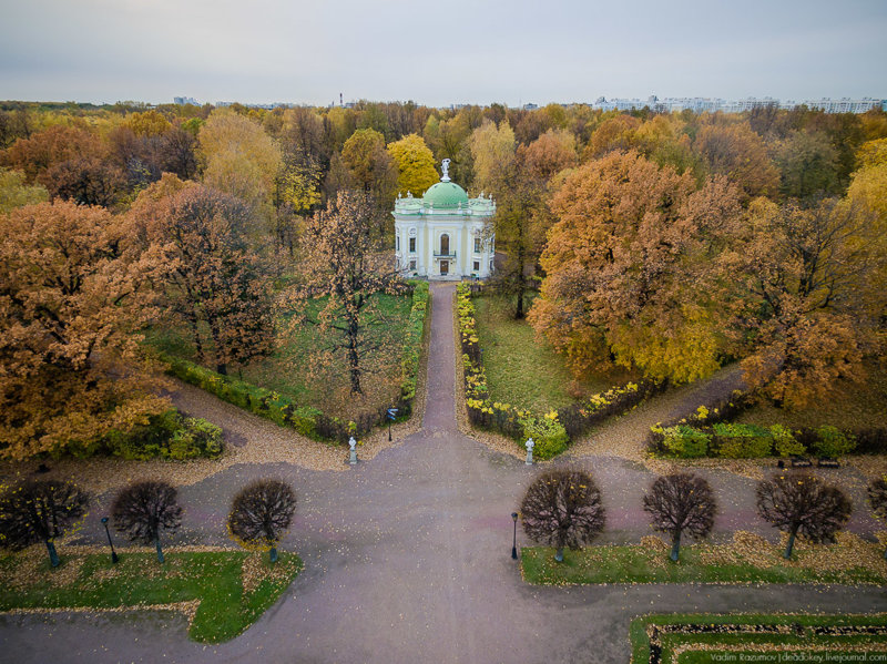 Фото кусковский лесопарк