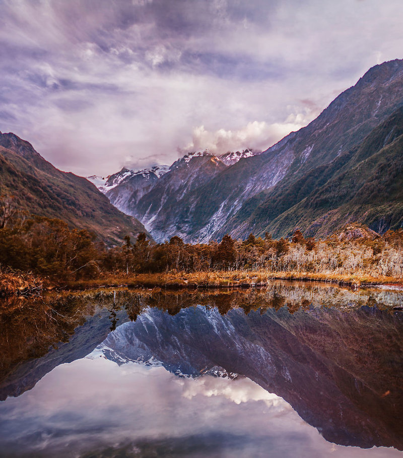 Новая Зеландия краски, листва, лондон, москва, осень, природа, фото, фотограф