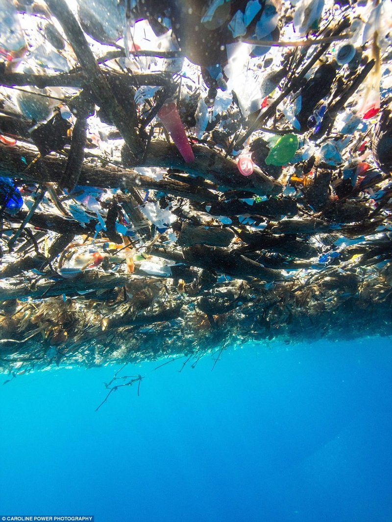 В Карибском море обнаружили "остров" из пластиковых отходов