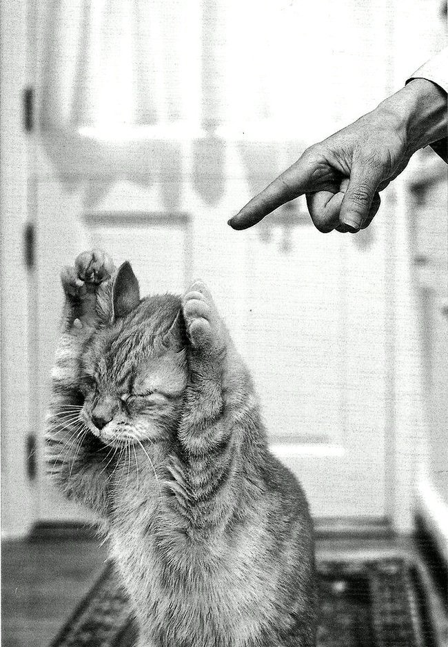 Просто не скучные картинки