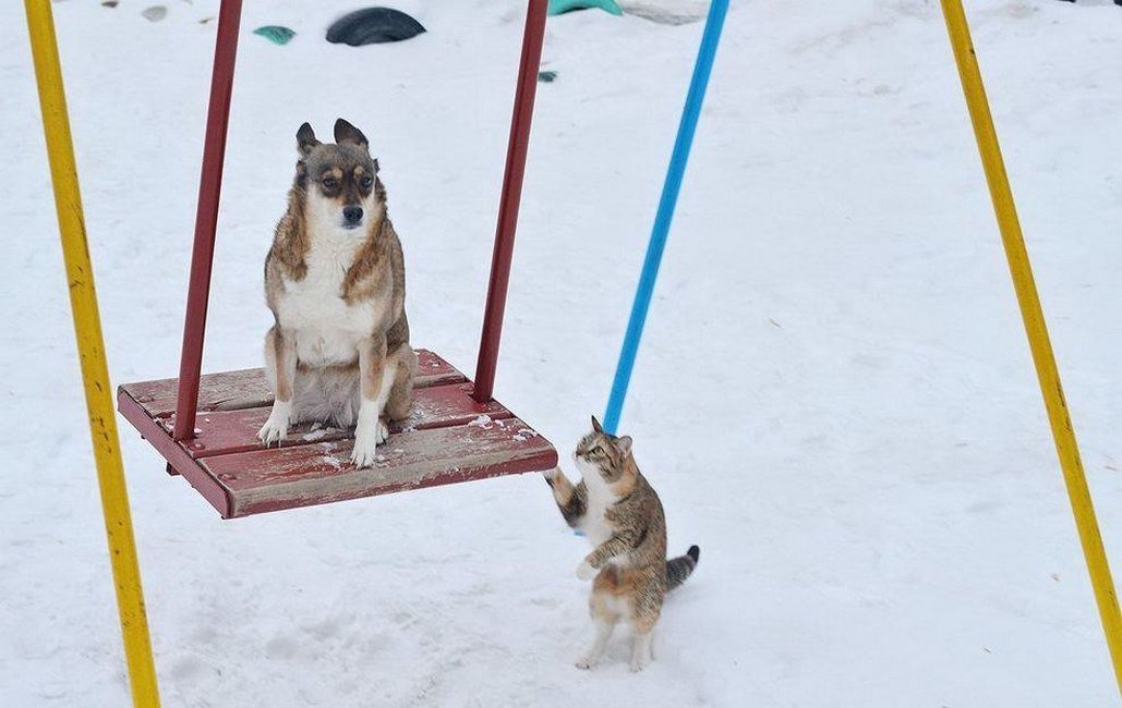 Просто не скучные картинки