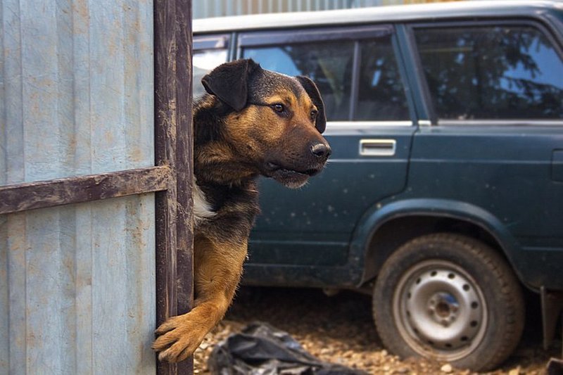 Просто не скучные картинки