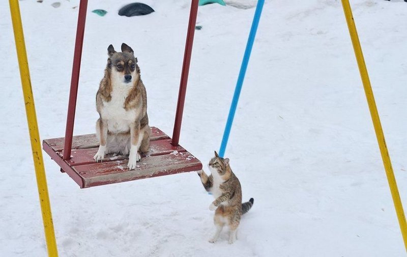 Просто не скучные картинки