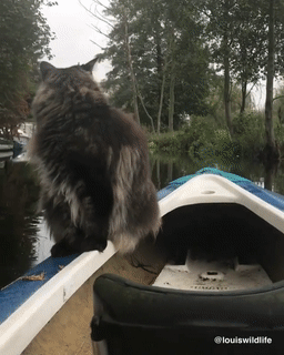 На рыбалке