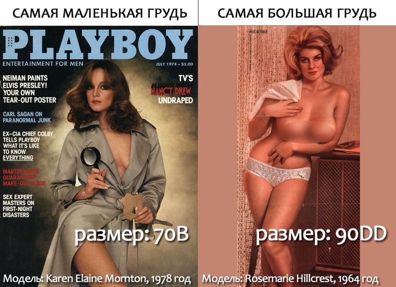 Модели + Playboy порно видео – автонагаз55.рф