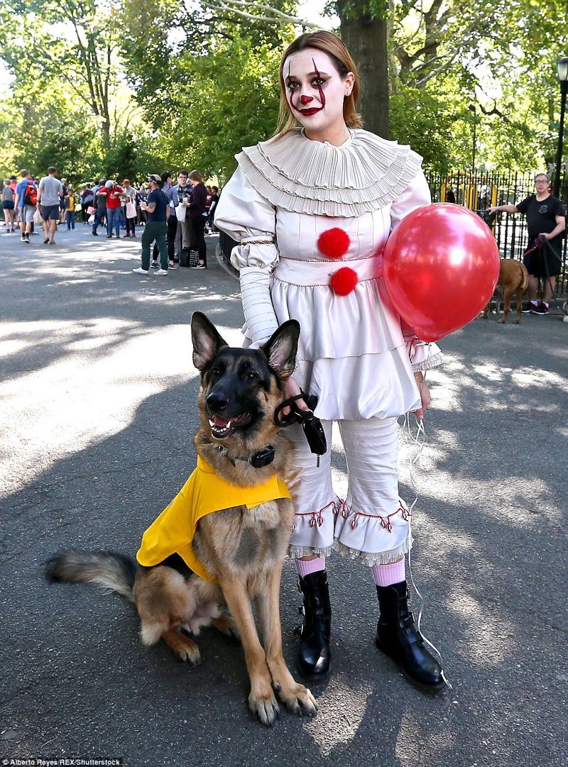 В Нью-Йорке прошел 27-ой костюмированный собачий парад: умилительное зрелище!