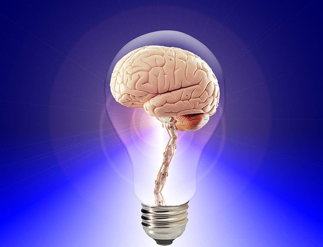 Мозг поглощает столько же энергии, сколько и электрическая лампочка
