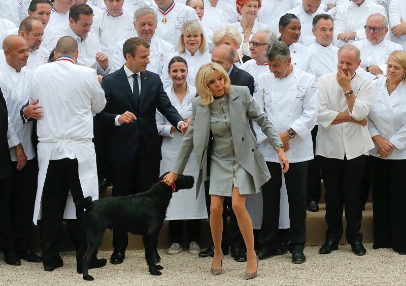 Пёс президента Франции помочился в камин Елисейского дворца прямо во время заседания