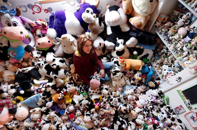 Эмелин Дюотой имеет самую пятнистую коллекцию — французская модель собирает игрушечных коров. У нее уже 1679 предметов, среди которых игрушки, тапочки, кружки, магниты и другие предметы с рогатыми