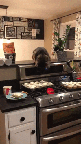 Ну как тут удержаться и не попробовать