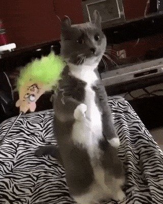 -Да подожди ты