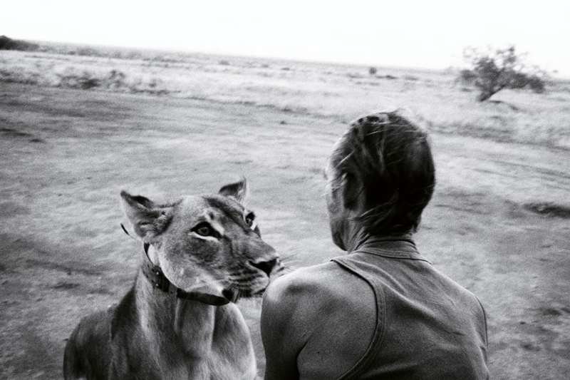 Защитник дикой природы Тони Фицджон вместе с львицей по кличке Джайп