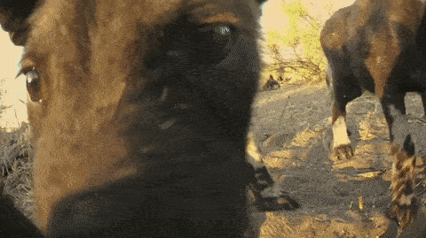 Что-то с ним не так