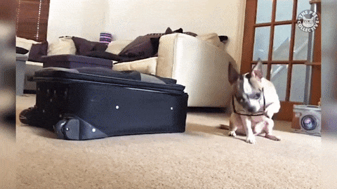 Мастер перевоплощений