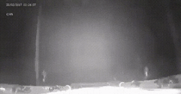 Прикольные гифки