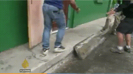 Прикольные гифки