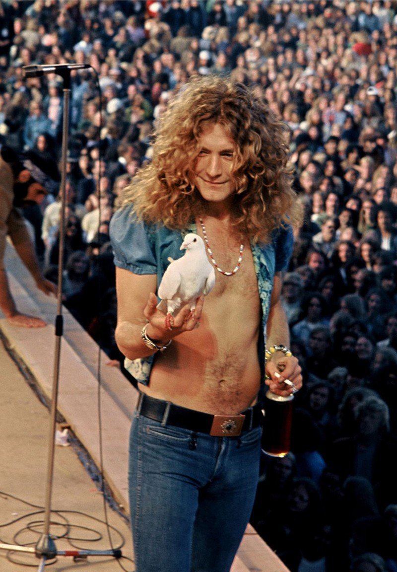 Роберт Плант на сцене с голубем, 1973 
