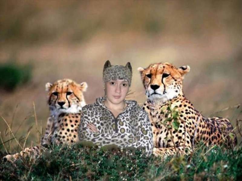 3. Семья леопардов 