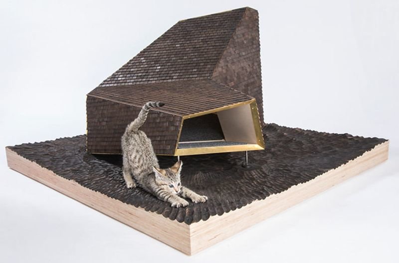 12 домов для кошек, созданных архитекторами в благотворительных целях