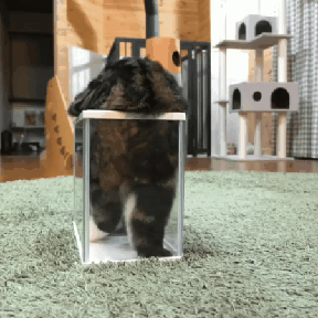 Пора баиньки