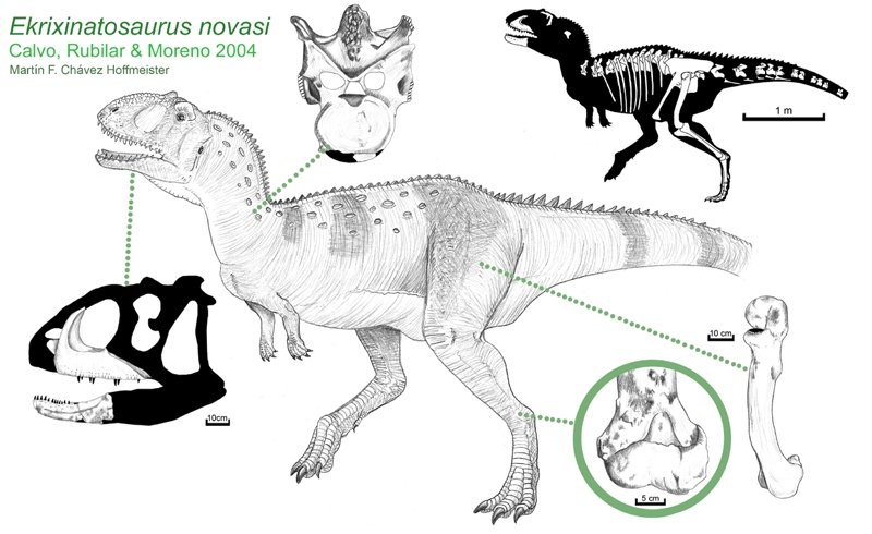 Интересные факты про Южную Америку. Часть вторая - палеонтология (рептилии)