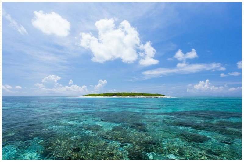 Еще один остров, необитаемый по причине споров о его принадлежности  - Остров Деревьев, Южно-Китайское море