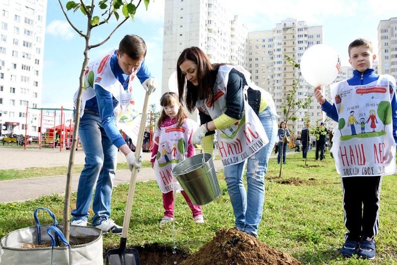 Более 1,8 млн деревьев высадили в Подмосковье в рамках акции «Наш лес"