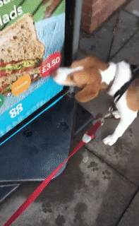 Аппетитная реклама