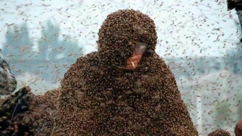 14. Самое большое количество пчел на человеке
