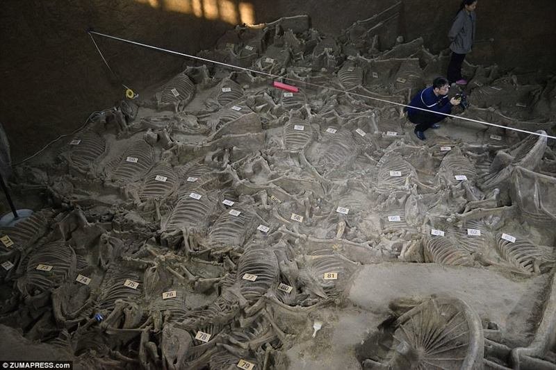 В Китае раскопали богатый могильник возрастом 2400 лет