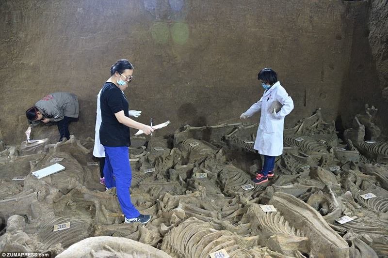 В Китае раскопали богатый могильник возрастом 2400 лет