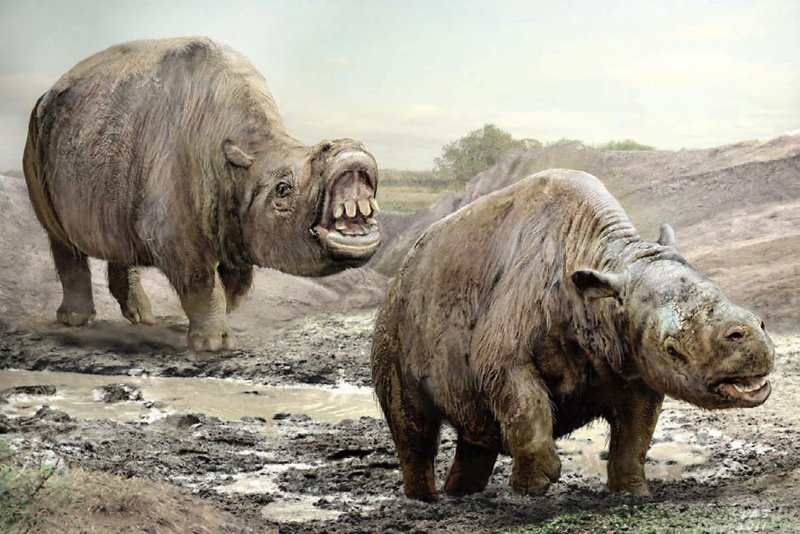 Интересные факты про Южную Америку. Часть вторая - окончание, палеонтология (млекопитающие)
