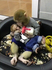 Заботливая мама 