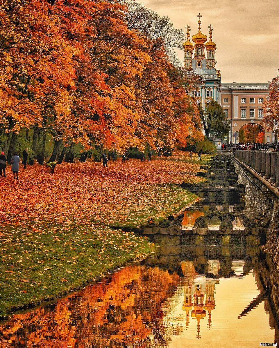 город пушкин осенью фото