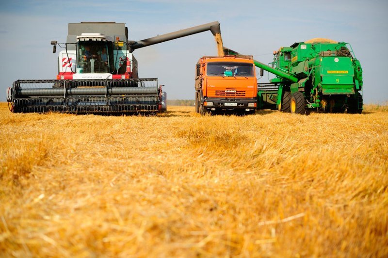 Россия побеждает в мировой "зерновой войне"
