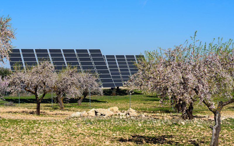 Энергия Солнца: где находятся и как работают самые экологичные электростанции планеты