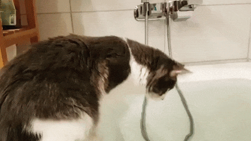 А хотел только потрогать