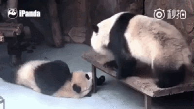 За что она с ним так